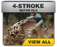 4
Stroke Motor Oils